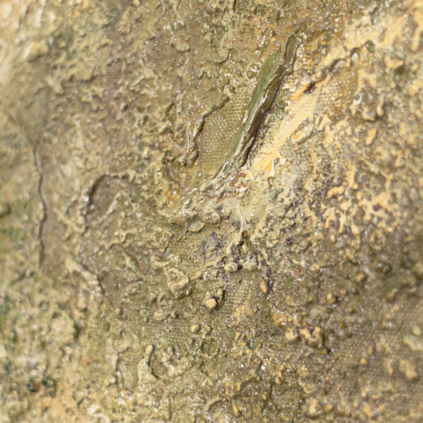 Obraz „Drzewo kontemplacji”